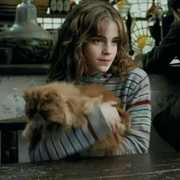 Hermione Ganger