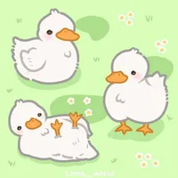 những người xuyên không (-neko và vie)