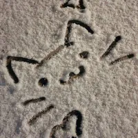 Việt Hòa và Vietnam