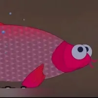 Cá chép hồng trăm cân