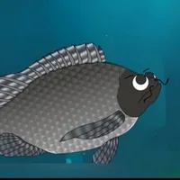 Cá rô phi đen 200 kg