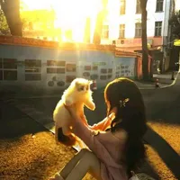 Phạm Thị Trà Giang