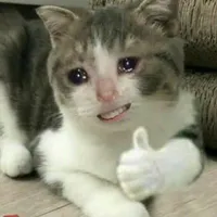 Idol là nhất tình yêu là phù du