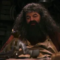 Rubeus Hagrid