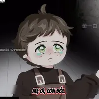 hạo hạo