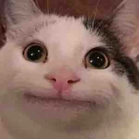 Sai Đẹp Triêu(t/g)