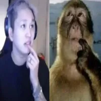 người ra chap lâu nhất nvt