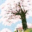 Hàn Tuyết Nguyệt