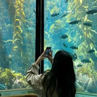 Thanh Nhã