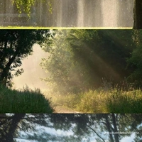 Nhân vật qua đường _ NPC 