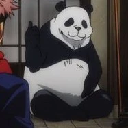 panda