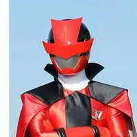 Lupin Red