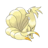 kyukon _satoshi