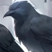 con quạ của  mọi người 