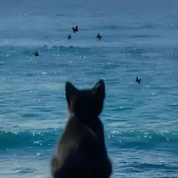 mọi người ( trừ ai thì trừ )