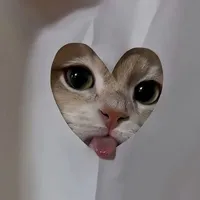 ᶻ𝗓𐰁.ᐟʀòᴍᴍẻʀăɴɢ🎀