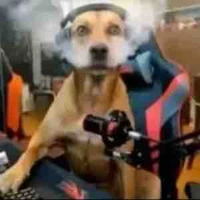 Quá lười để viết chuyện hoặc không🐧🐧🐧