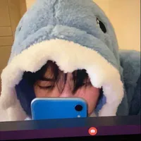 BigShark/@Cá_bự