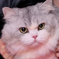 Trương Kiến Quốc 