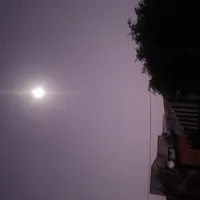Tác giả dayy