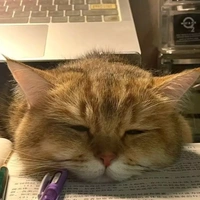 nhỏ này bị khùng🤡