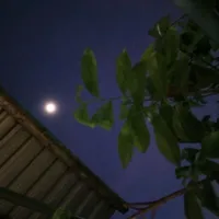 tập thể 