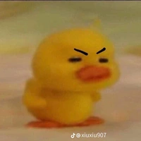 vịt cx là t/g mà :)