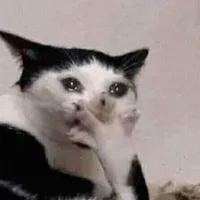 𝐑𝐚̆́𝐧 𝐬𝐥𝐚𝐲𝐲