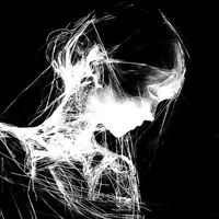 Nhân Vật Quần Chúng Nữ_