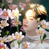 Nguyễn Thanh Pháp (Kiều)