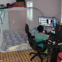 nothing/tác giả 