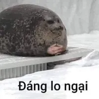 TG