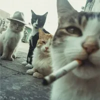 All bot (trừ ai thì trừ)