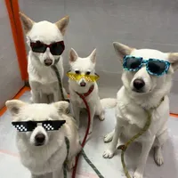 All Top(trừ ai thì trừ)