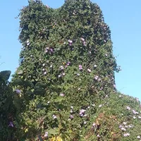 tất cả