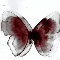 Akachō Hana (赤蝶 花) 🦋🌹