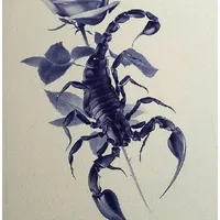 Sasori Hayato (蠍 隼人) 🦂