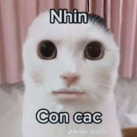 cả lớp skibidi