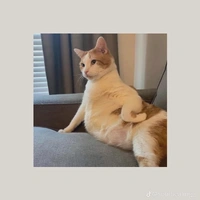 all: