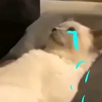 hệ thống "đẹp trai"