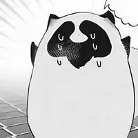 🦝Maizuka mamekichi🦝『dạng động vật』