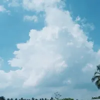 tác giả