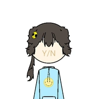 Y/N