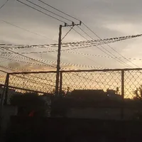 all