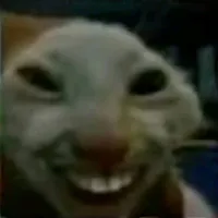 hệ thống tên meo