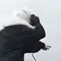 sans fell