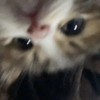 @Keonhodeptrainhattraidat