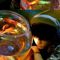 Trương Hàm Thụy_Em