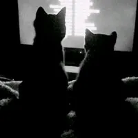 Sumi/minhnguyet