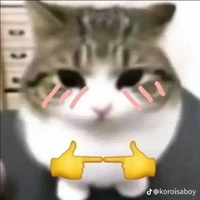 T/g(NinNin)